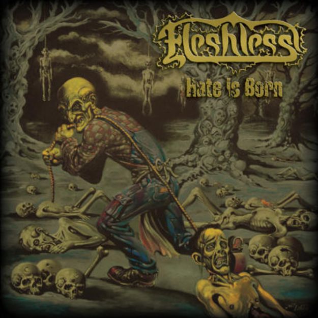 Picture of Fleshless - Hate Is Born (CD)