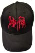 Picture of Deeds Of Flesh - Logo (cap)
