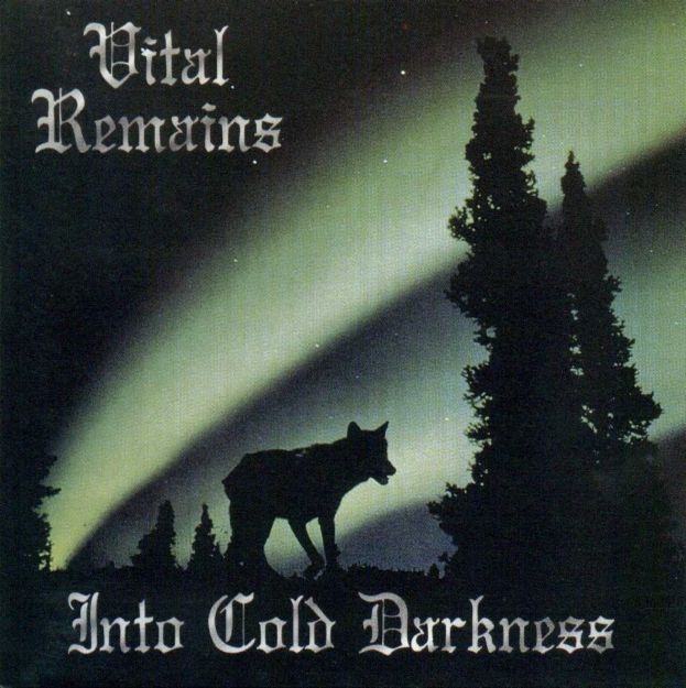 Obrázok Vital Remains - Into Cold Darkness (CD)